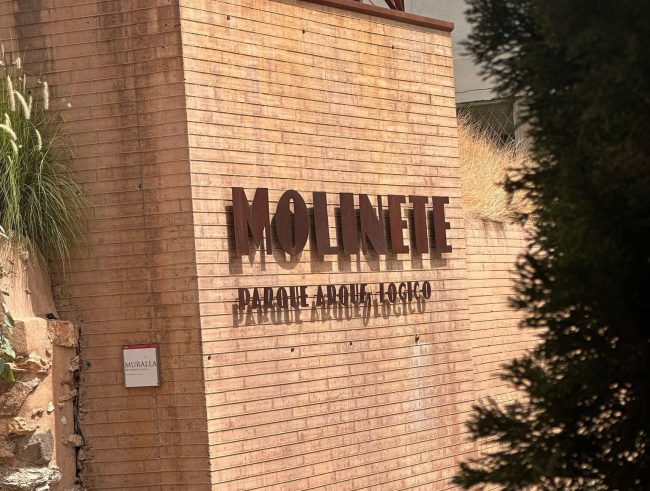 Parque Arqueológico del Cerro del Molinete